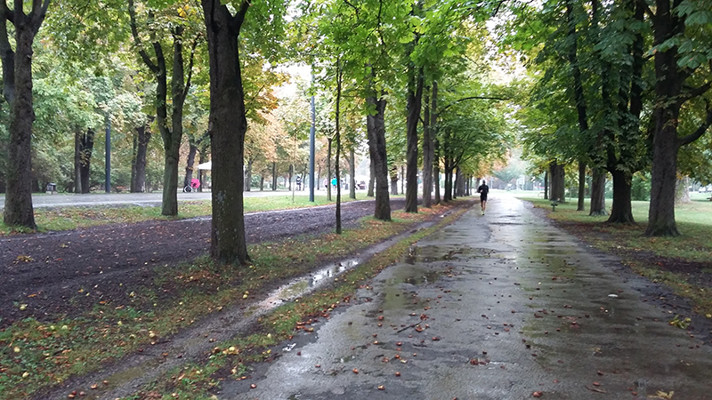 20170917_105005