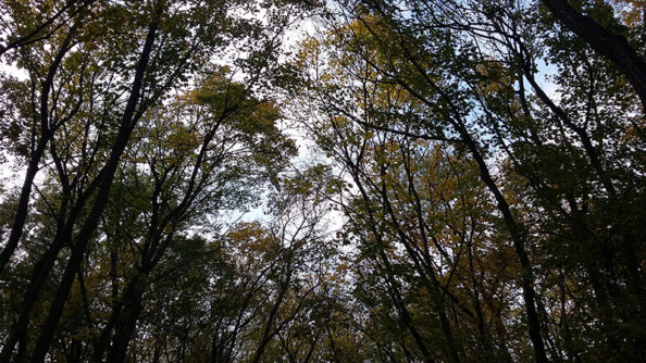 20171105_124540