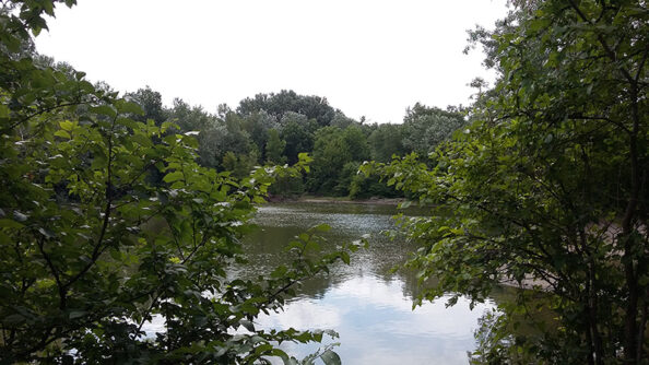 20180624_105635