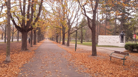 20181111_104859