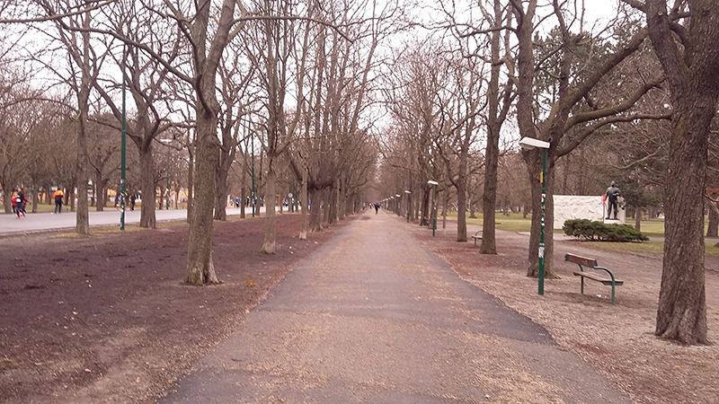 20190203_112129