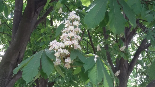 20190428_103247