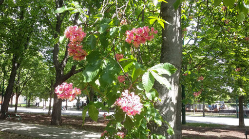 20190428_103404