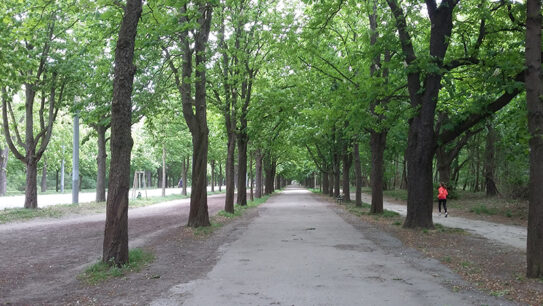 20190428_112025