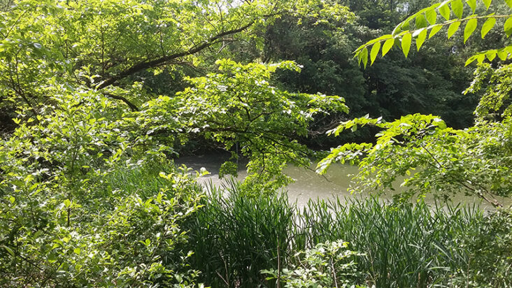 20190526_115510
