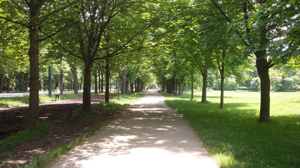 20190526_121142