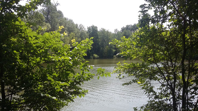 20190616_111638