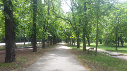 20200524_110001